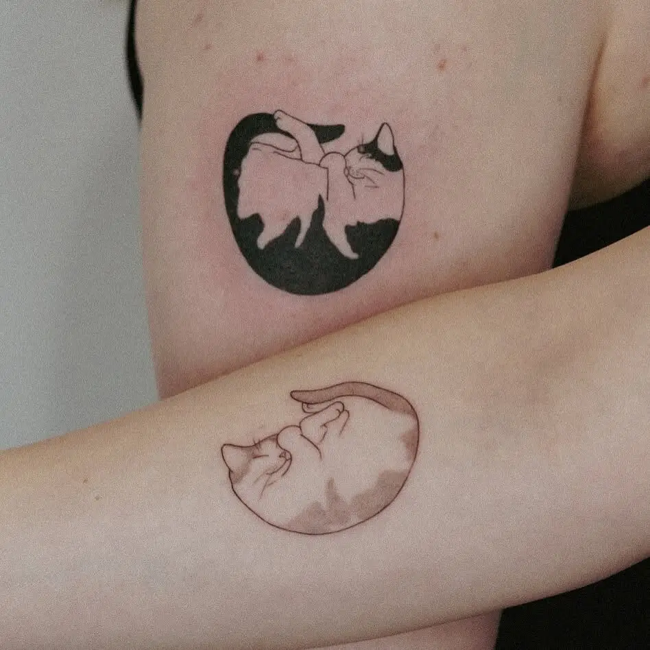 Matching yin-yang cat tattoos on two arms, showing curled sleeping cats in opposite blackwork and shaded styles to symbolize balance and connection.