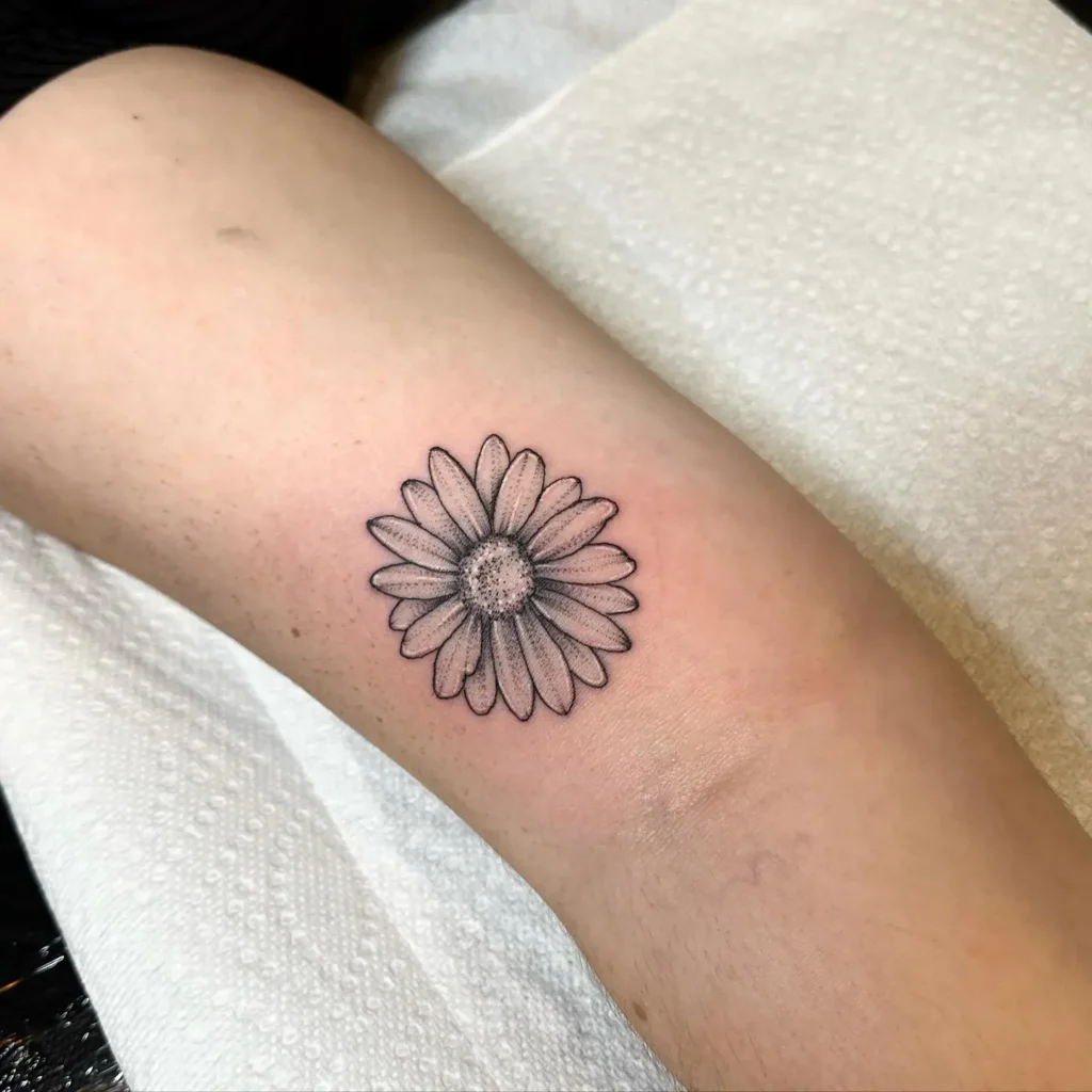 Dotwork black and gray daisy flower tattoo on the arm of a woman, showing detailed petals and a shaded center.