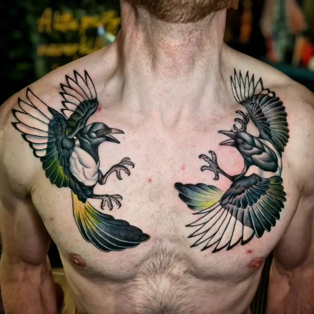 Colorful chest tattoo for men showing two magpies in a mirrored fighting stance with spread wings and vibrant black, white, yellow, and blue feathers; dynamic and symmetrical design captures motion and tension.
