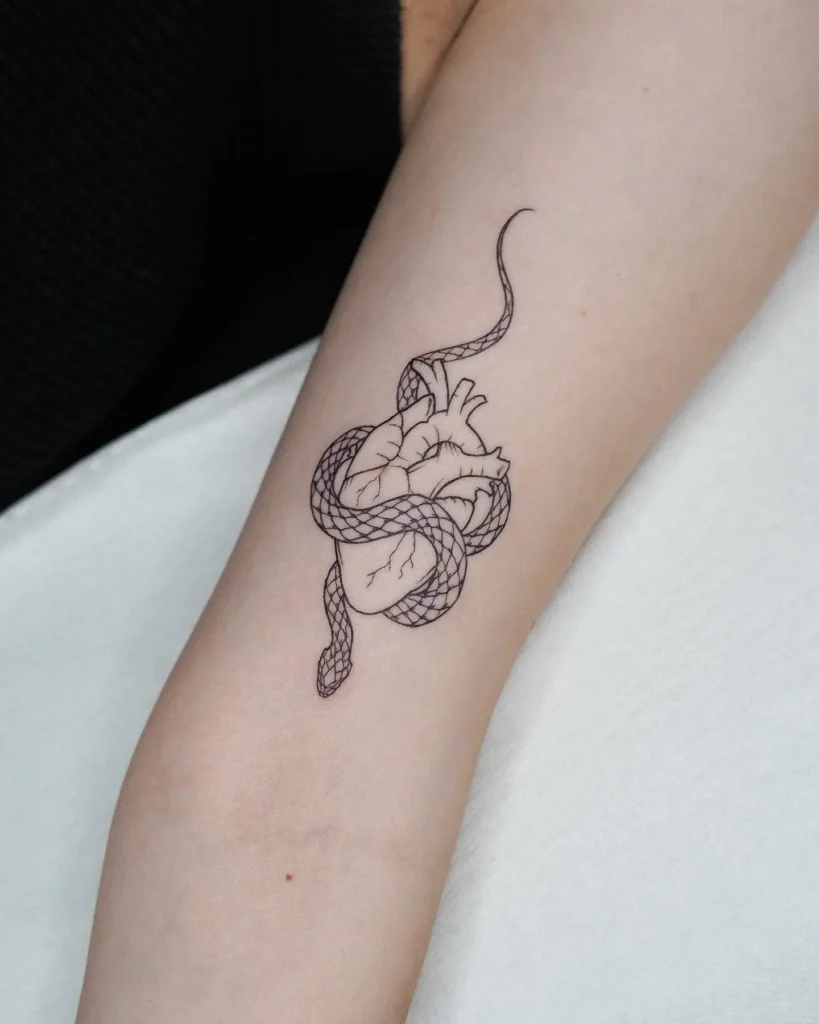 Minimal black line tattoo of a snake wrapping around an anatomical heart on the inner forearm. Fine-scale detail with clean, soft curves. Symbolizes emotional protection, transformation, and duality. Ideal for animal tattoo ideas simple and intimate—great for arm or wrist placement with deep personal meaning.








