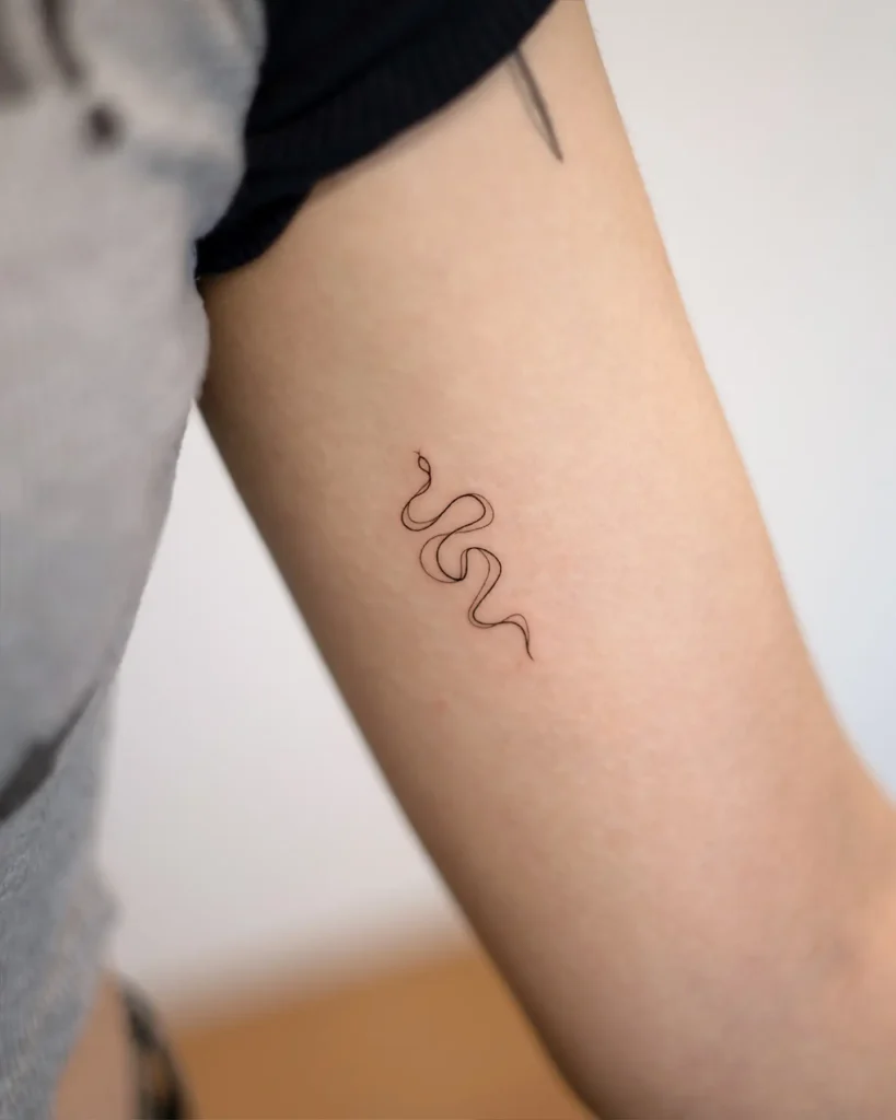 Black Snake Curves Tattoo