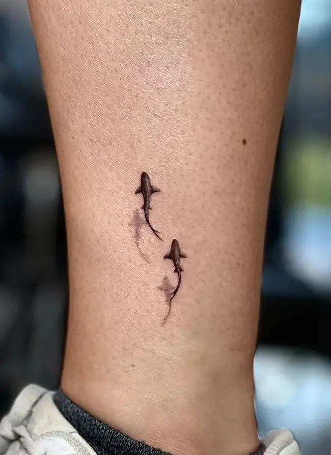 15. Ankle Mini Shark Duo
