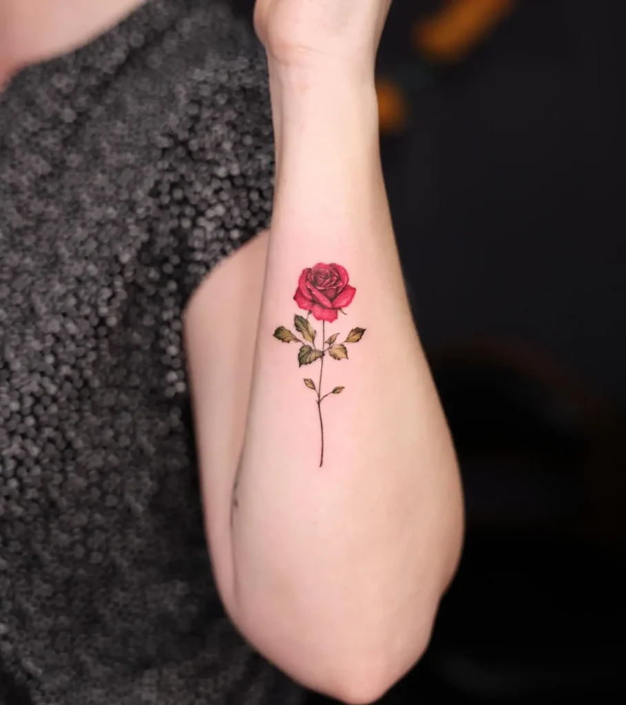 15. Classic Red Rose Stem
