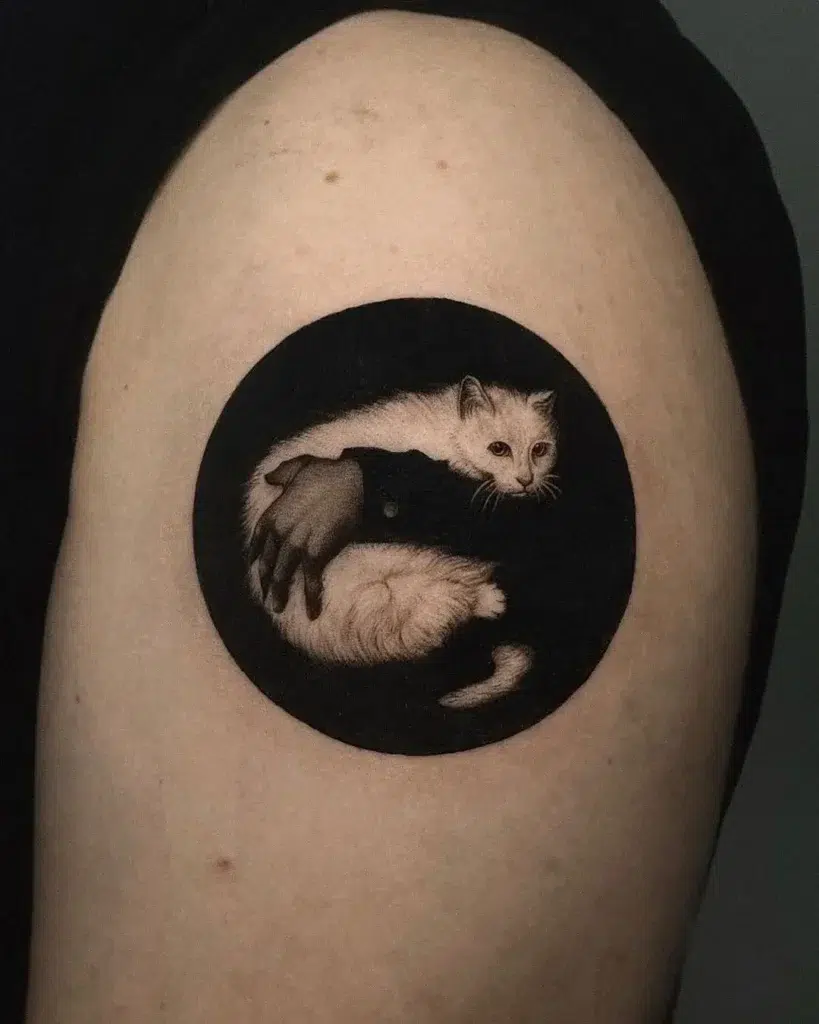 18. Circular Cat Cradle