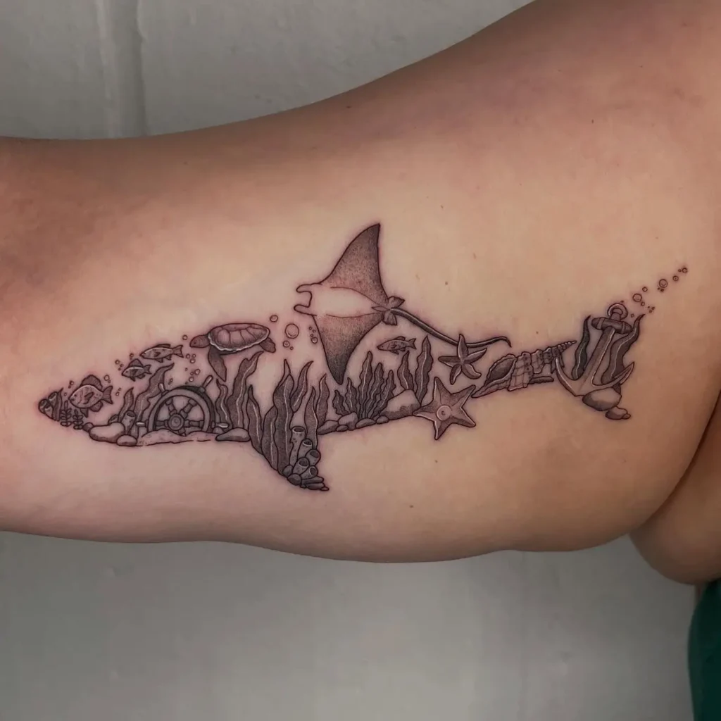 2. Reef Within the Shark