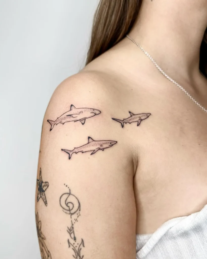 20. Shoulder Shark Trio