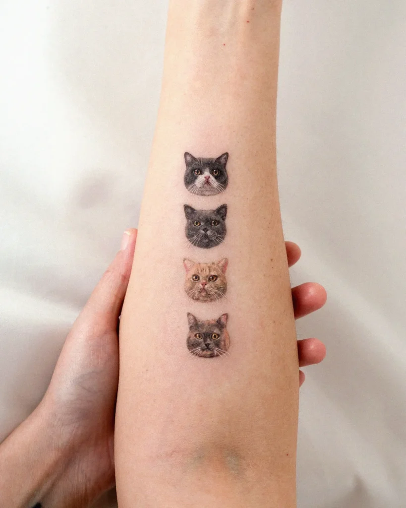 5. Four Cats Portrait Stack