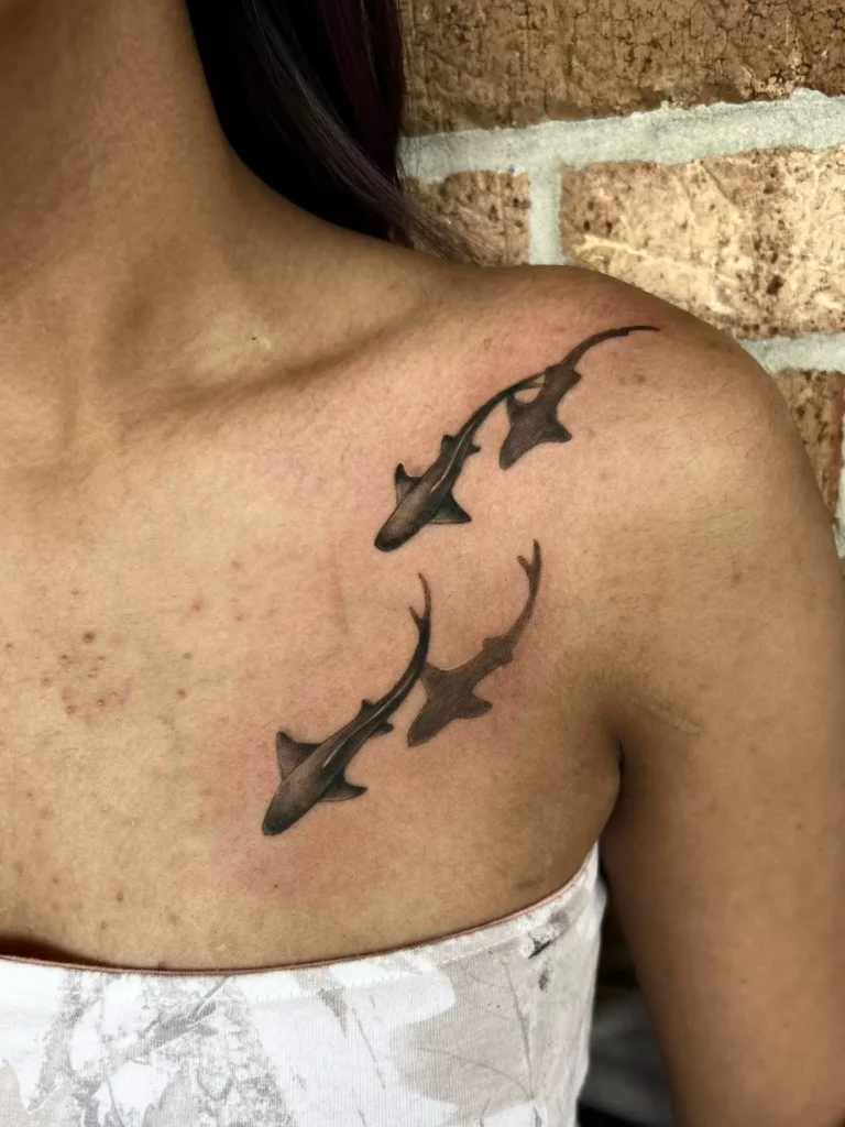 7. Shoulder Stream of Sharks