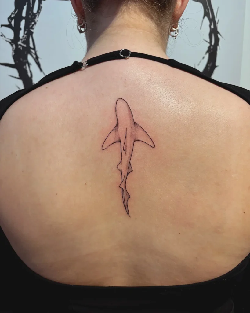 8. Minimal Back Shark