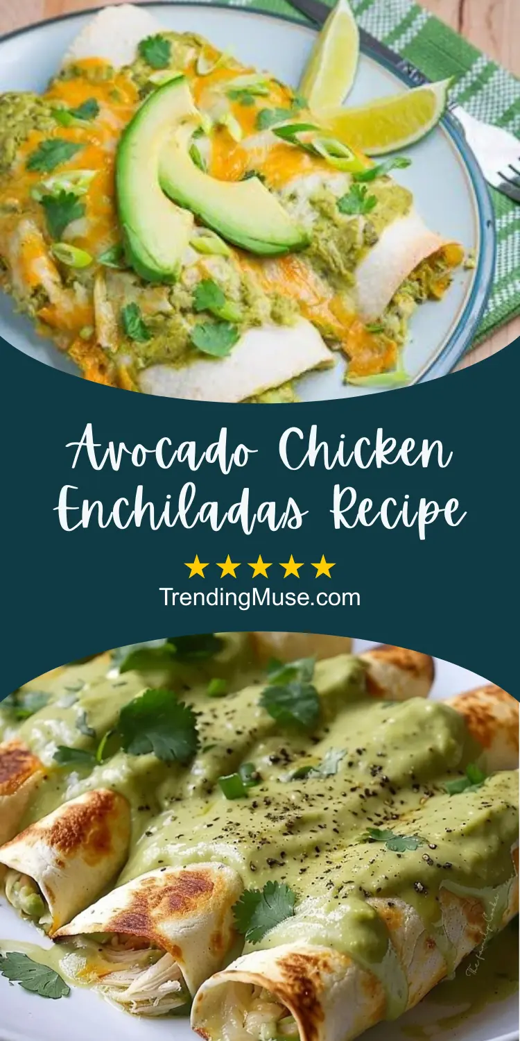 Avocado Chicken Enchiladas, Chicken And Avocado Enchiladas, Chicken Enchiladas With Creamy Avocado Sauce, Creamy Avocado Chicken Enchiladas