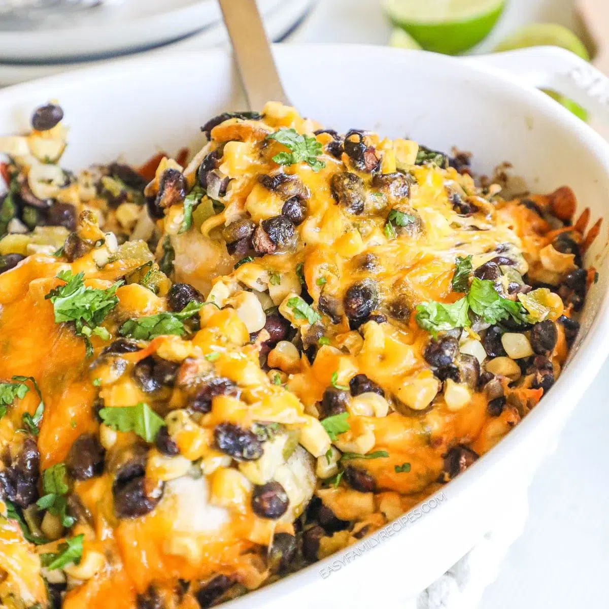 Chicken and Black Bean Casserole Recipe