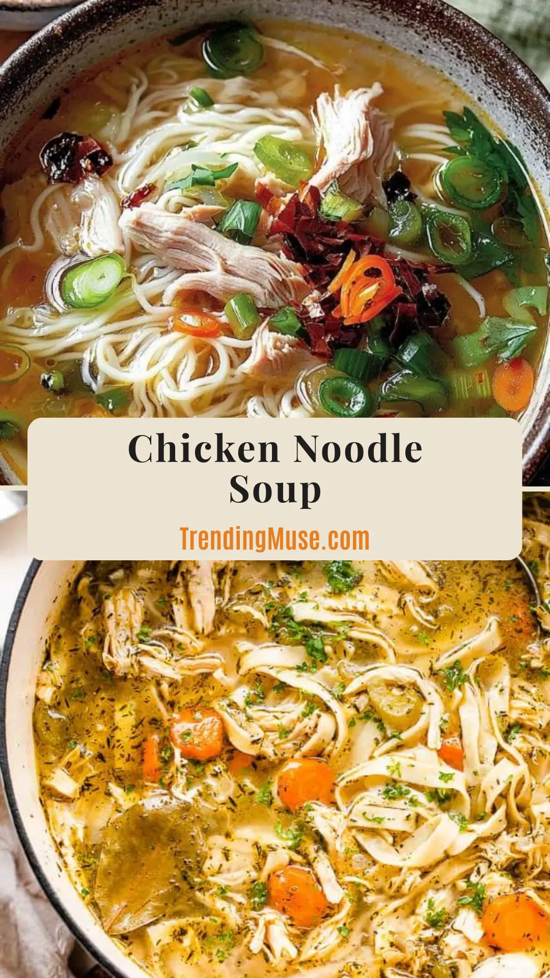 Chicken Noodle Soup, Chicken Noodle Soup Recipe, Homemade Chicken Noodle Soup, Easy Chicken Noodle Soup Recipe, Best Chicken Noodle Soup