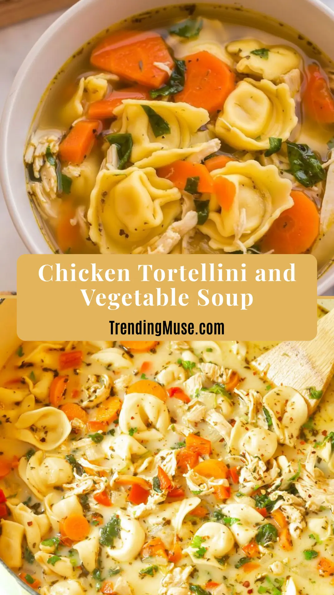 Chicken Tortellini and Vegetable Soup, Chicken Tortellini Soup, Chicken Tortellini Vegetable Soup, Chicken Soup With Tortellini, Chicken Tortellini