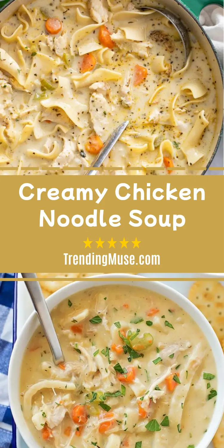 Creamy Chicken Noodle Soup