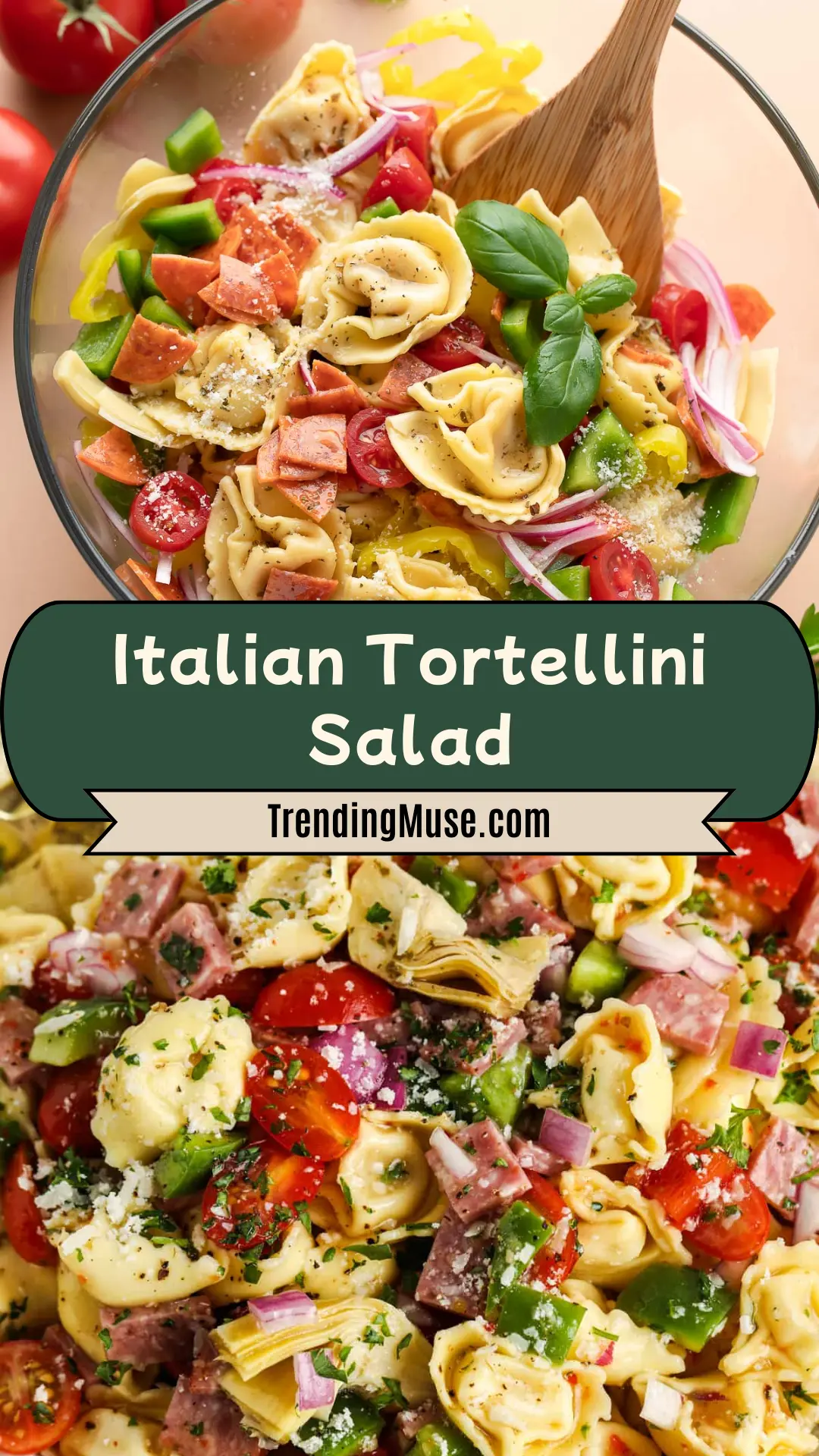 Italian Tortellini Salad, Italian Tortellini Pasta Salad, Easy Italian Tortellini Salad, Zesty Italian Tortellini Pasta Salad, Italian Tortellini Salad Recipe