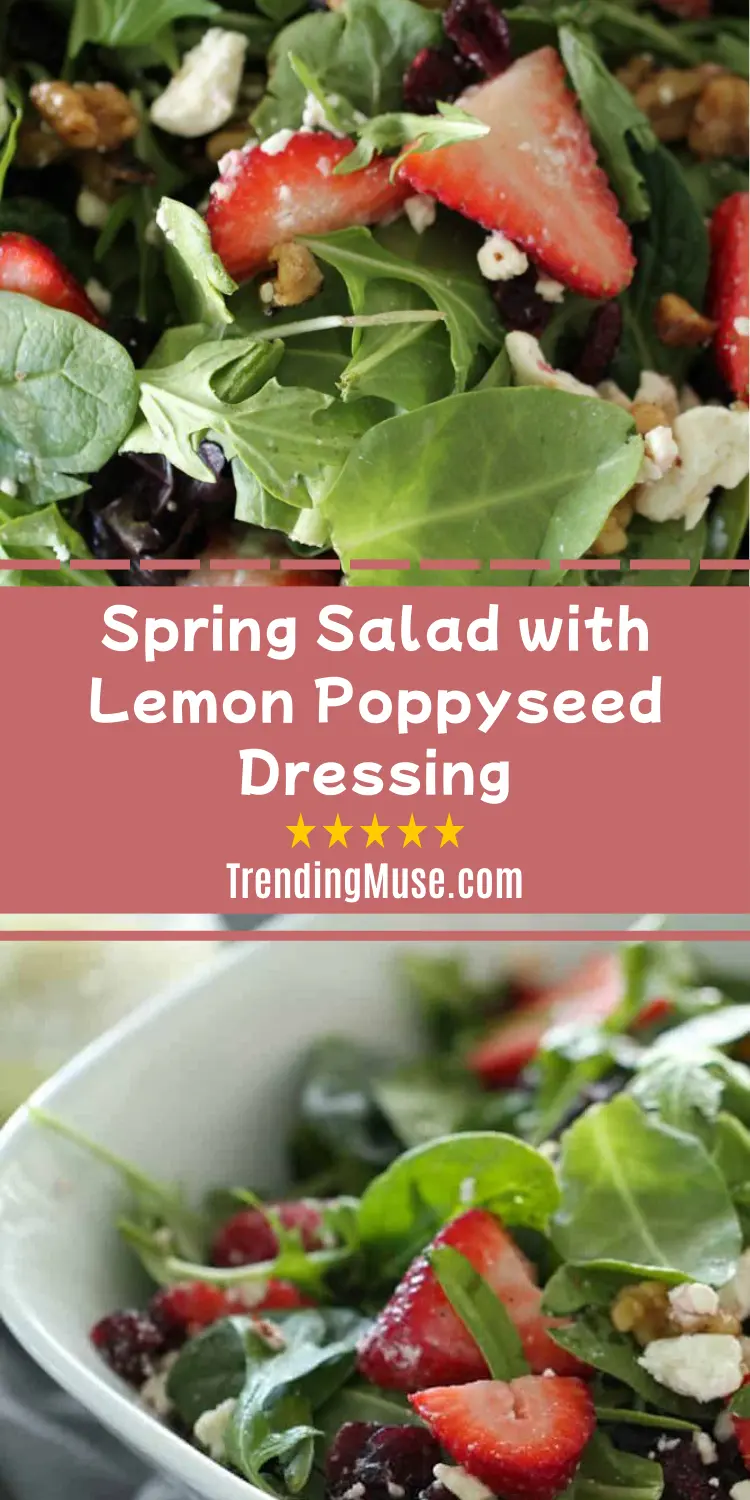 Spring Salad With Lemon Poppyseed Dressing, Lemon Poppyseed Dressing, Lemon Poppyseed Dressing Recipe, Homemade Lemon Poppyseed Dressing, Lemon Poppy Seed Dressing Recipe