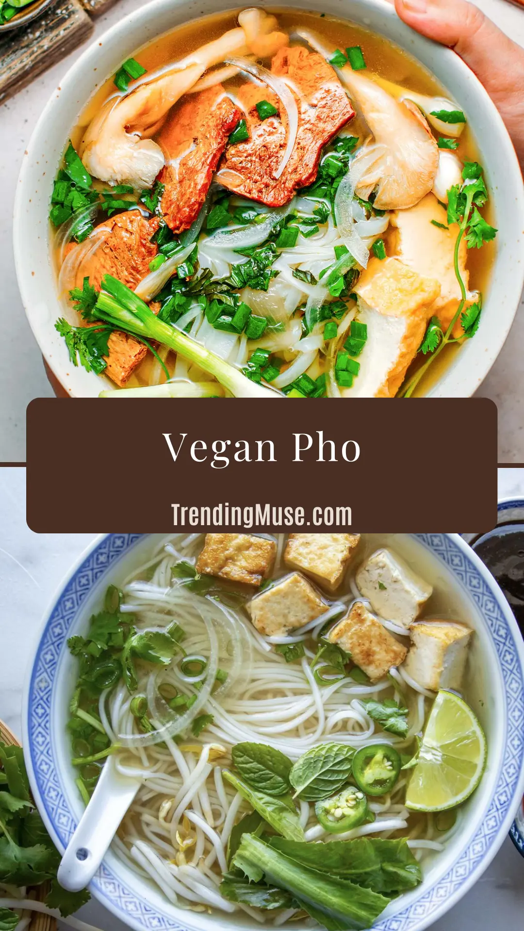 Vegan Pho, Vegan Pho Recipe, Vegan Pho Soup, Vegan Pho Noodle Soup, Vegan Pho Broth