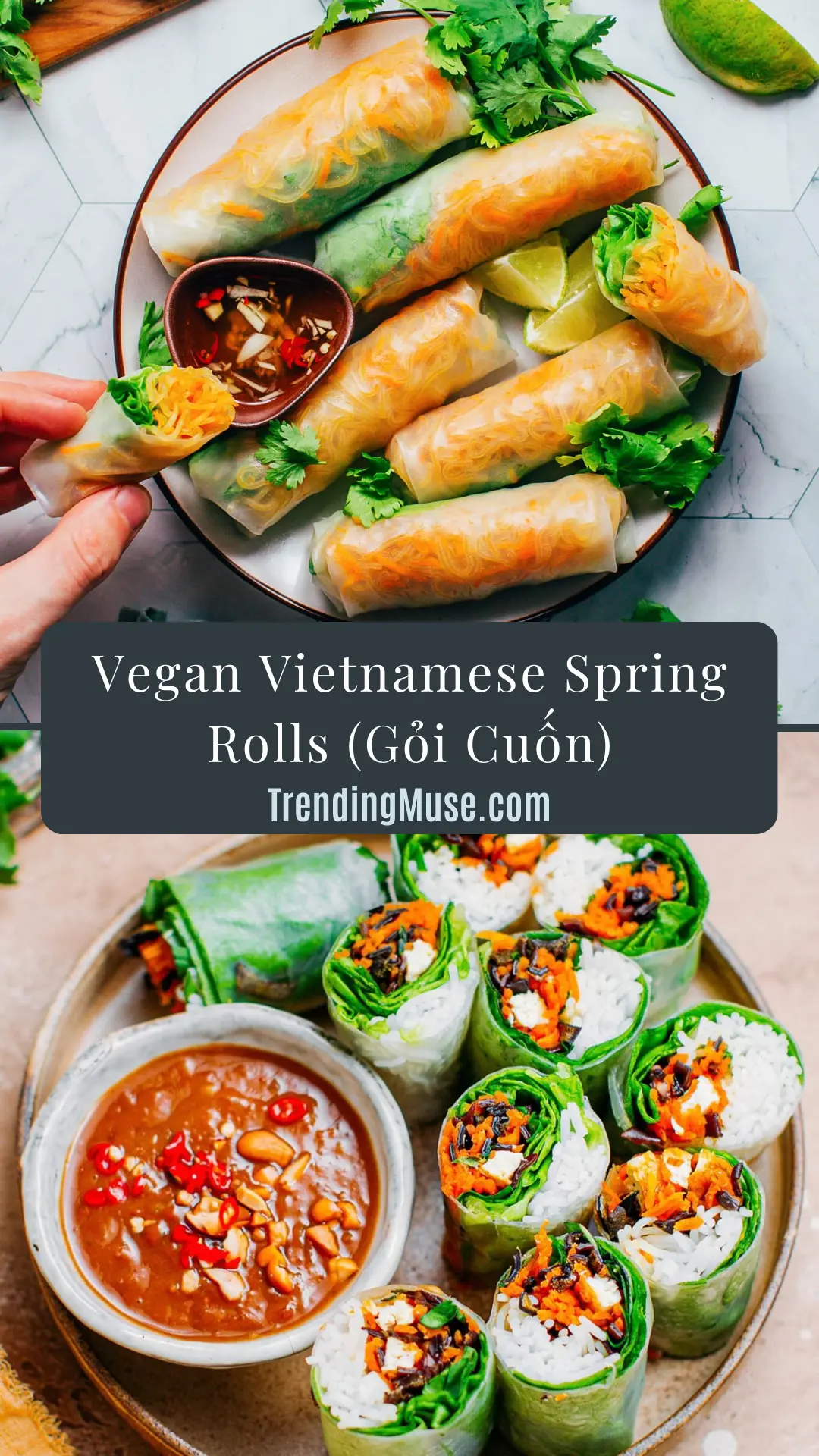 Vegan Vietnamese Spring Rolls, Vietnamese Fresh Spring Rolls, Vietnamese Spring Rolls Recipe, Vegan Spring Rolls, Vegan Spring Roll Recipe