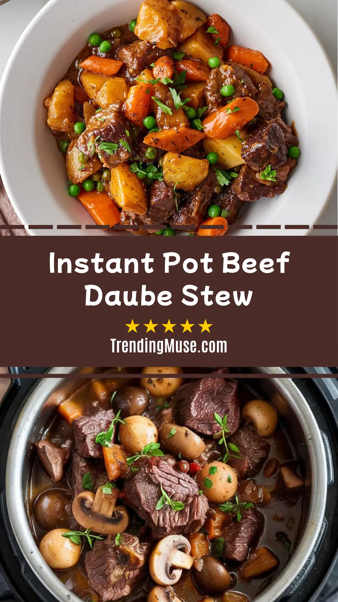 Instant Pot Beef Daube Stew