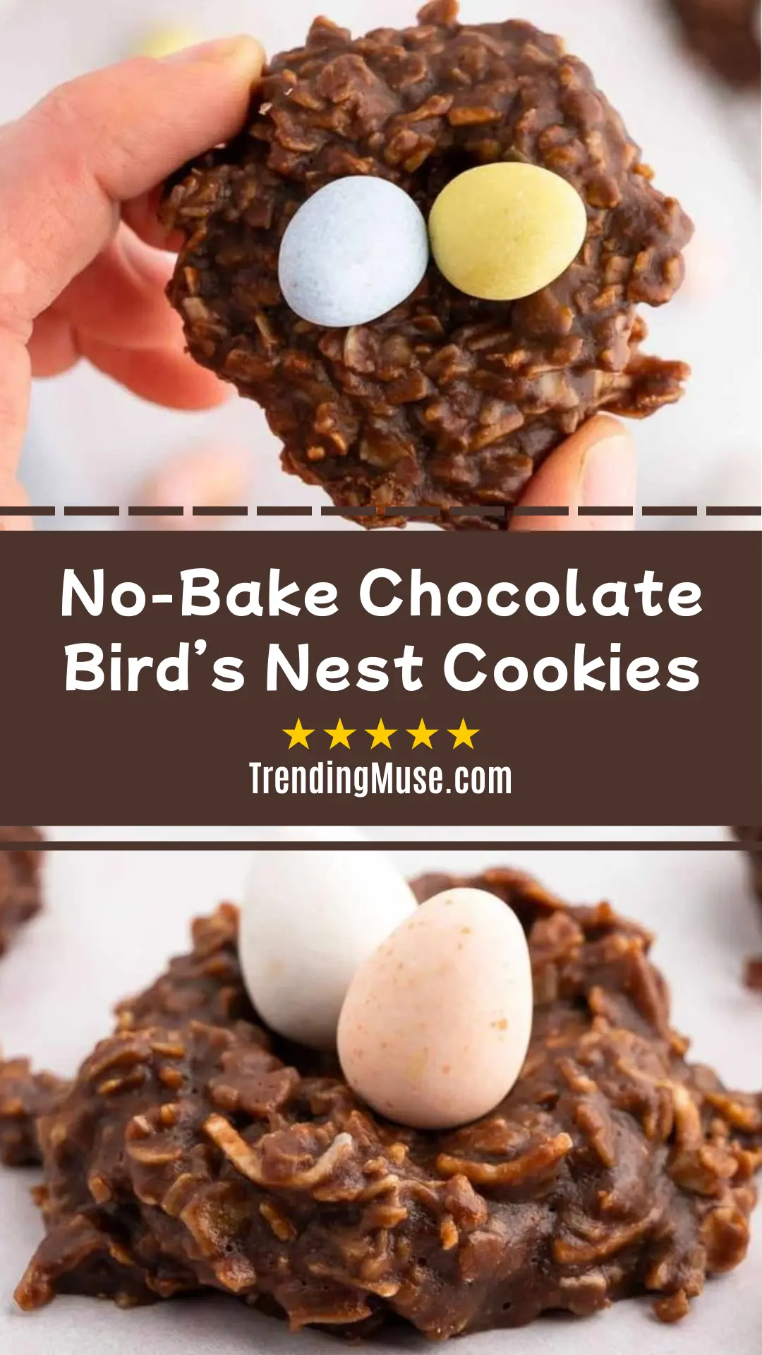 No-Bake Chocolate Bird’s Nest Cookies