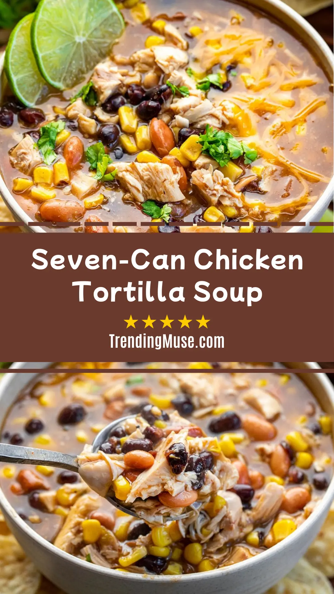 Seven-Can Chicken Tortilla Soup