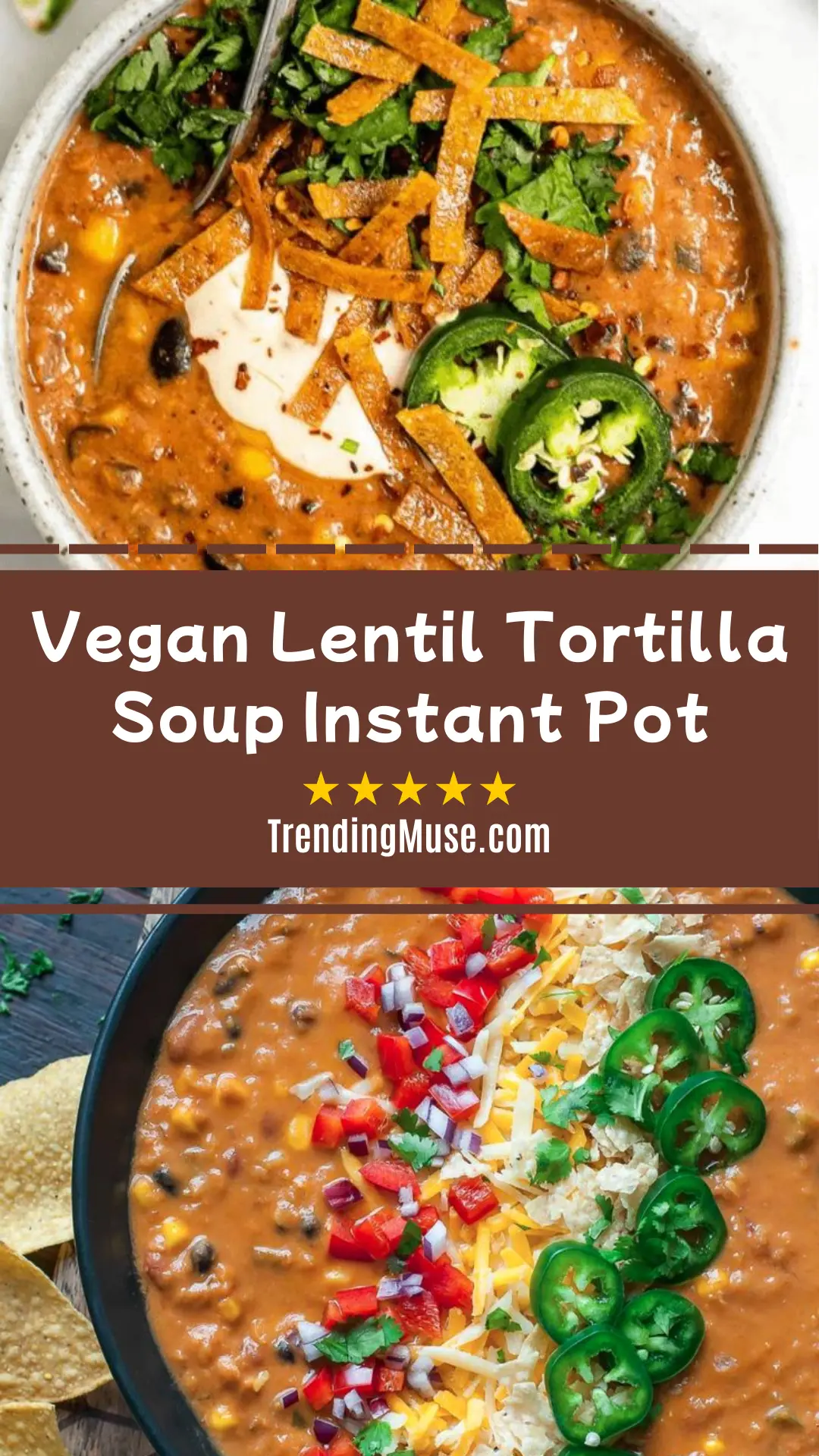 Vegan Lentil Tortilla Soup Instant Pot